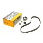 Комплект ГРМ Mazda 2/Ford Fiesta/Focus/Volvo S40/V50 1.25i-1.6 16V 95- (22x117z)
