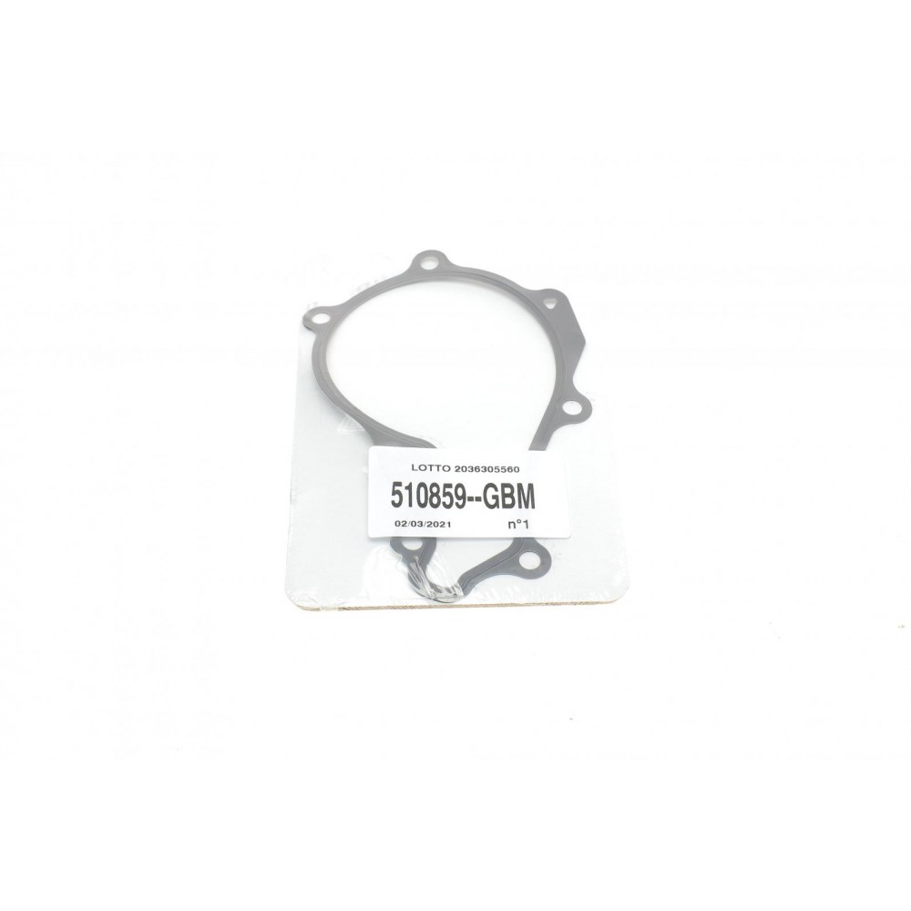 Комплект ГРМ + помпа Citroen Berlingo/Jumpy/C3/C4/Peugeot 207/308/Expert 1.6HDi 05- (25.4x141z)