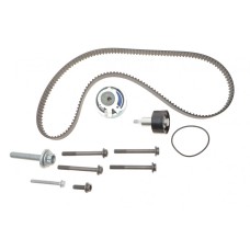 Комплект ГРМ VW Caddy IV 1.2-1.4TSI 15- (163x20)