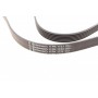 Ремінь генератора VW Golf IV/Passat 1.4/1.6FSI 03-16/Toyota Auris/Avensis 1.4-1.8 03-12
