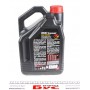 Олива 10W60 X-Power 8100 (5L) (106144)