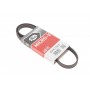 Ремінь генератора Mazda 323 1.3-1.8 89-04/ Mitsubishi Pajero II 3.5 94-99