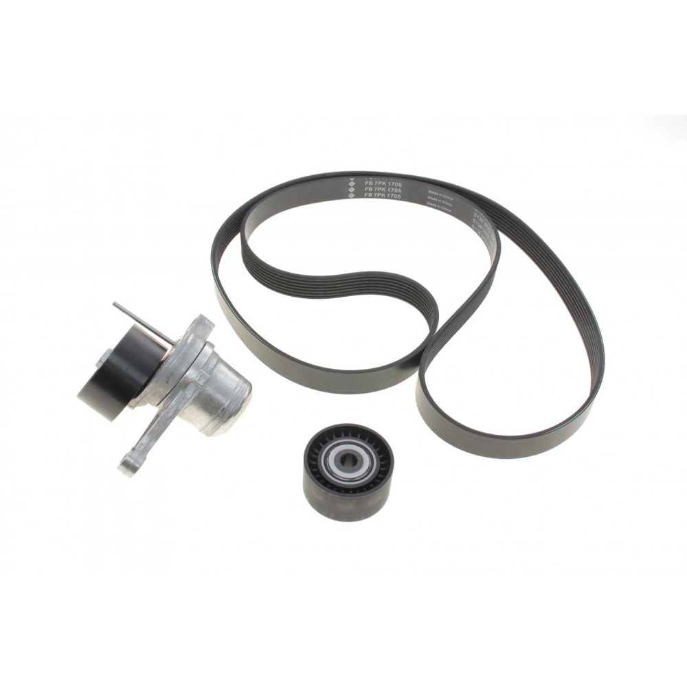 Комплект ременя генератора Renault Megane II 2.0 dCi 05-09 (7PK1705)