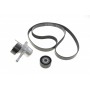 Комплект ременя генератора Renault Megane II 2.0 dCi 05-09 (7PK1705)