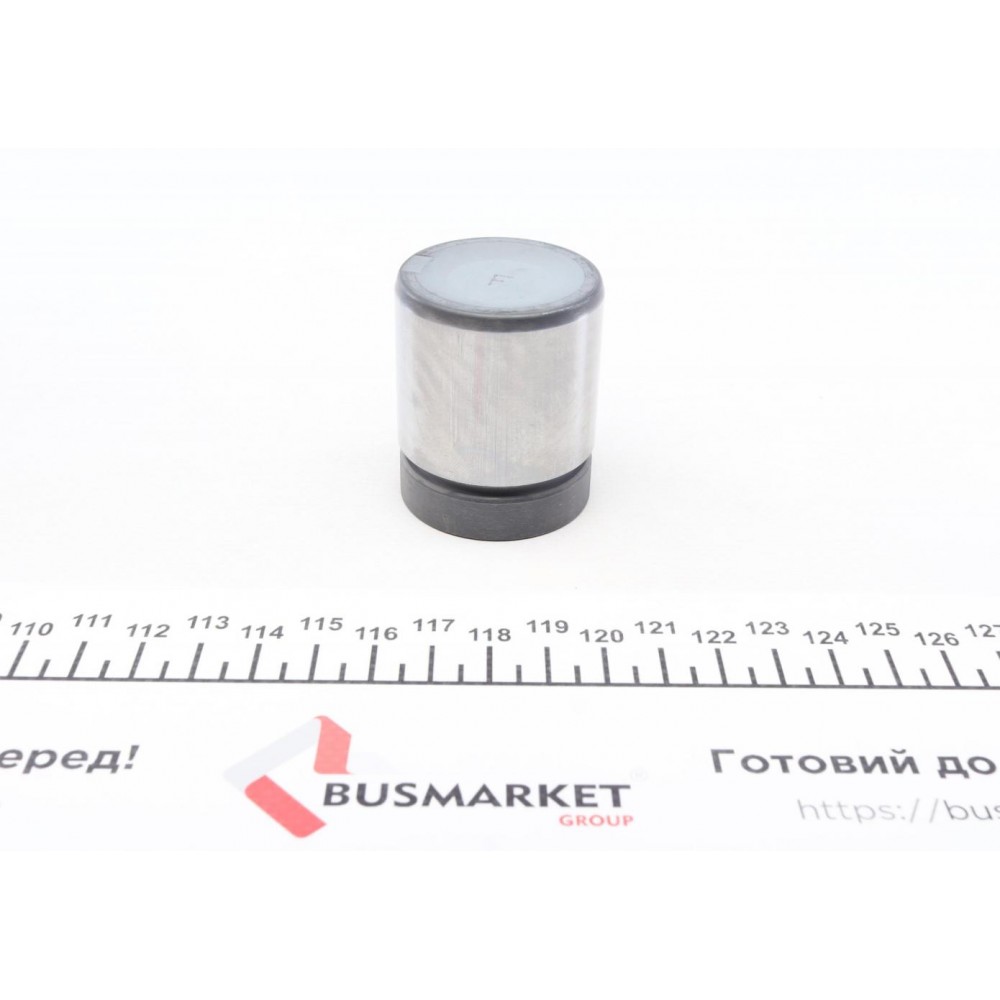Поршень супорта (заднього) BMW 3 (E46) 2.5/3.0d 00-05 (40x48mm) (Ate)