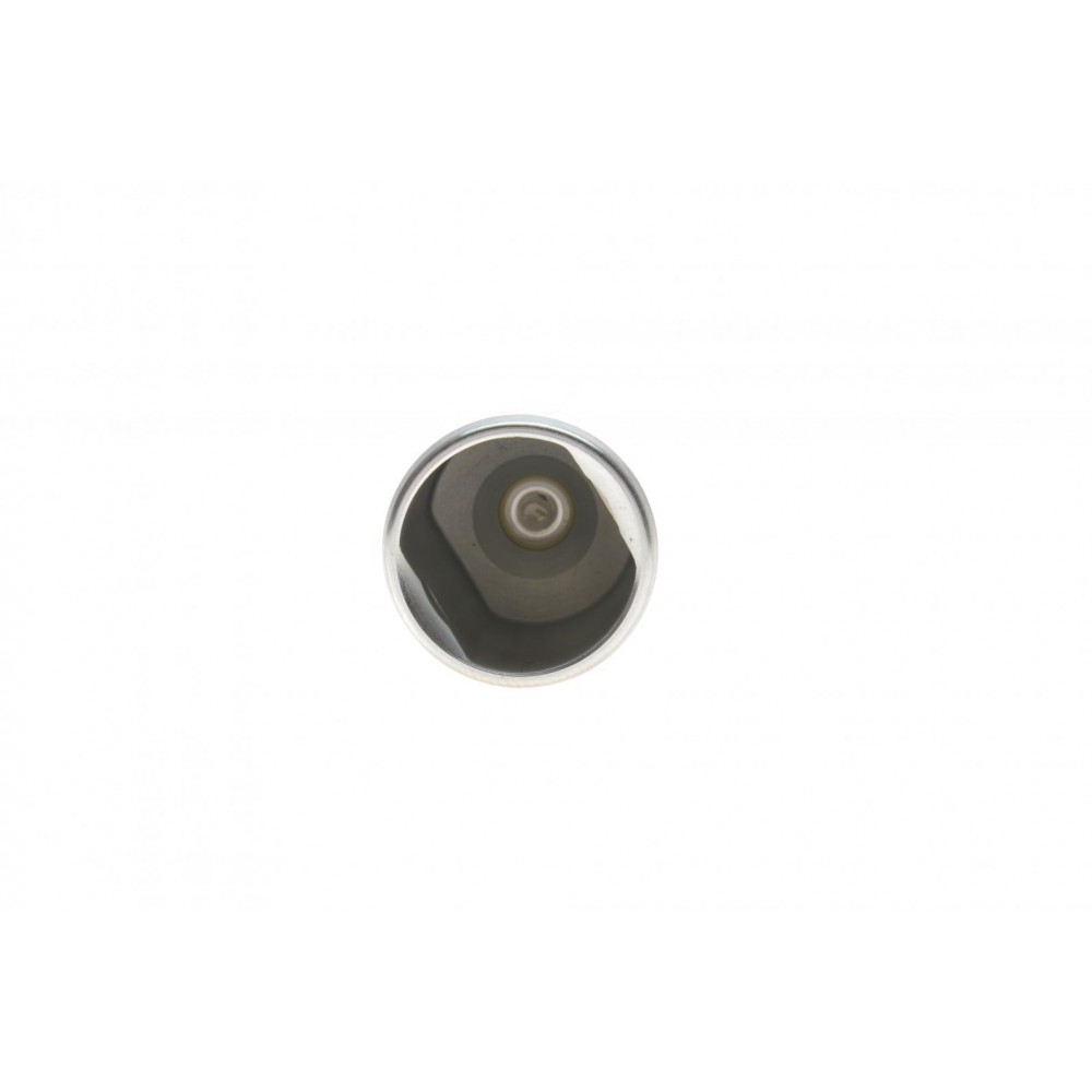 Поршень супорта (заднього) Audi A6/VW Passat/Sharan 04- (41x52mm) (TRW)
