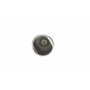 Поршень супорта (заднього) Audi A6/VW Passat/Sharan 04- (41x52mm) (TRW)