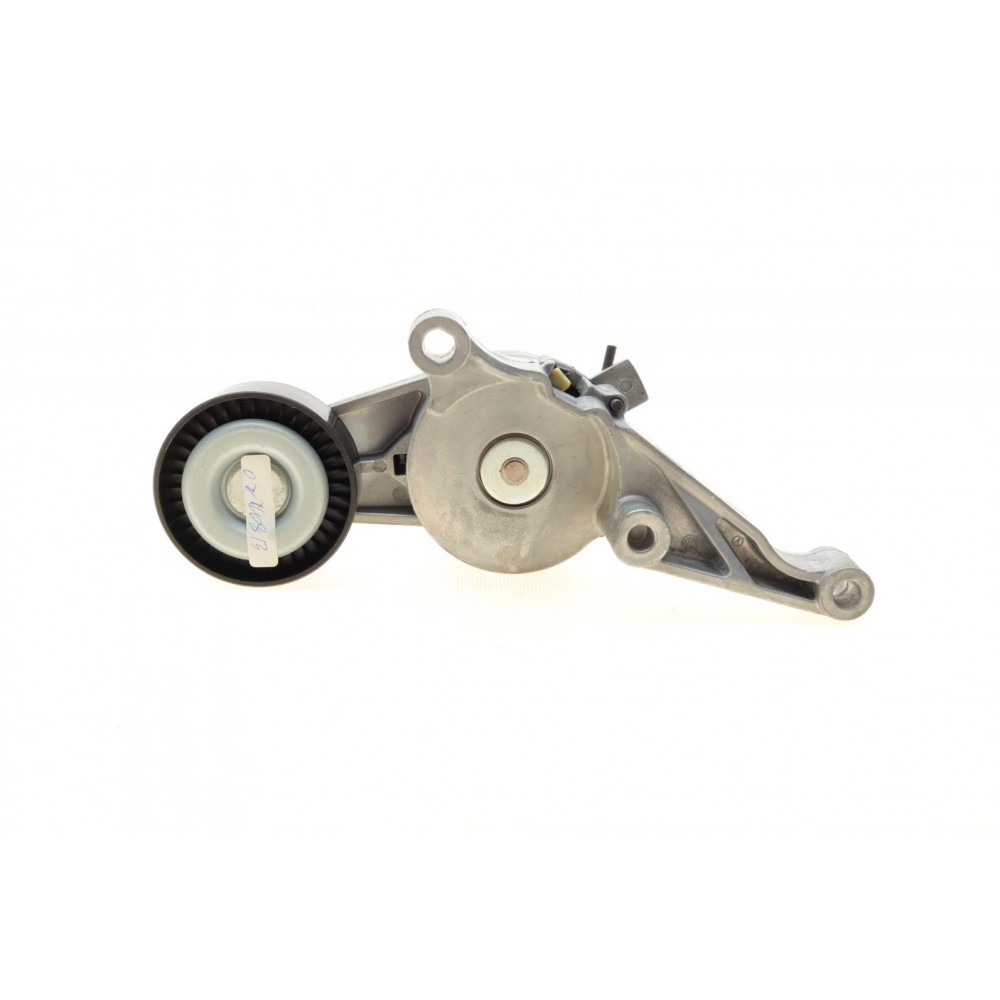 Натяжник ременя генератора VW 1.9/2.0TDI 04-10 (70x24)