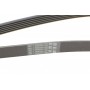 Ремінь генератора Ford Mondeo IV 2.0TDCI 07-15/Volvo S80/V70 2.0D/TDi 07-15