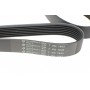 Ремінь генератора Subaru 2.0D 09-