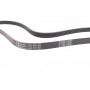 Ремінь генератора VW Crafter 2.0TDI 11-16/Opel Corsa D 1.7CDTI 06-11/Ford Fiesta 1.8DI 00-03