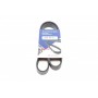 Ремінь генератора VW Polo/Up 11-/Skoda Fabia 14-/Seat Ibiza 1.0/1.6 15- (6PK989)