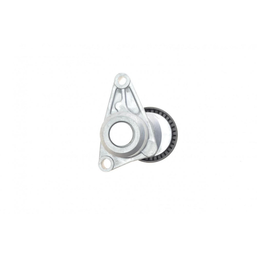 Комплект ременя генератора Citroen C2/C3/C4/Peugeot 207/307 1.1-1.6 02- (6PK1053)