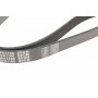 Ремінь генератора Peugeot Boxer 2.0 94-/VW Caddy 1.4 04- (6PK1100)