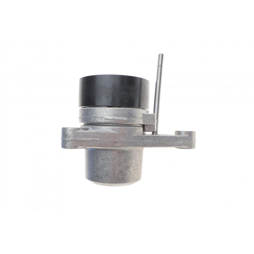 Натяжник ременя генератора Citroen C2/C3/C4/Peugeot 207/307 1.1-1.6 00-