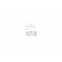 Сальник вала первинного КПП VW Caddy II 95-04 (23.9х40х8)