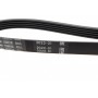 Ремінь генератора Citroen Jumper 2.8HDI 00-/Fiat Ducato 2.5D/TD (5PK1100)