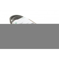 Ремінь генератора VW T5 1.9TDI/VW Caddy III 1.9/2.0TDI (+AC) (6DPK1195)