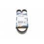 Ремінь генератора Opel Astra/Vectra 1.4/1.6i 88-95 (5PK990)