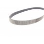 Ремінь генератора VW Polo/Up 11-/Skoda Fabia 14-/Seat Ibiza 1.0/1.6 15-