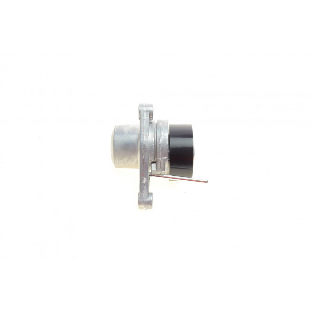 Натяжник ременя генератора Citroen C2/C3/C4/Peugeot 207/307 1.1-1.6 00-