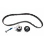 Комплект ГРМ Citroen C5/C6/C8/Fiat/Ford/Peugeot 2.2HDI 06-