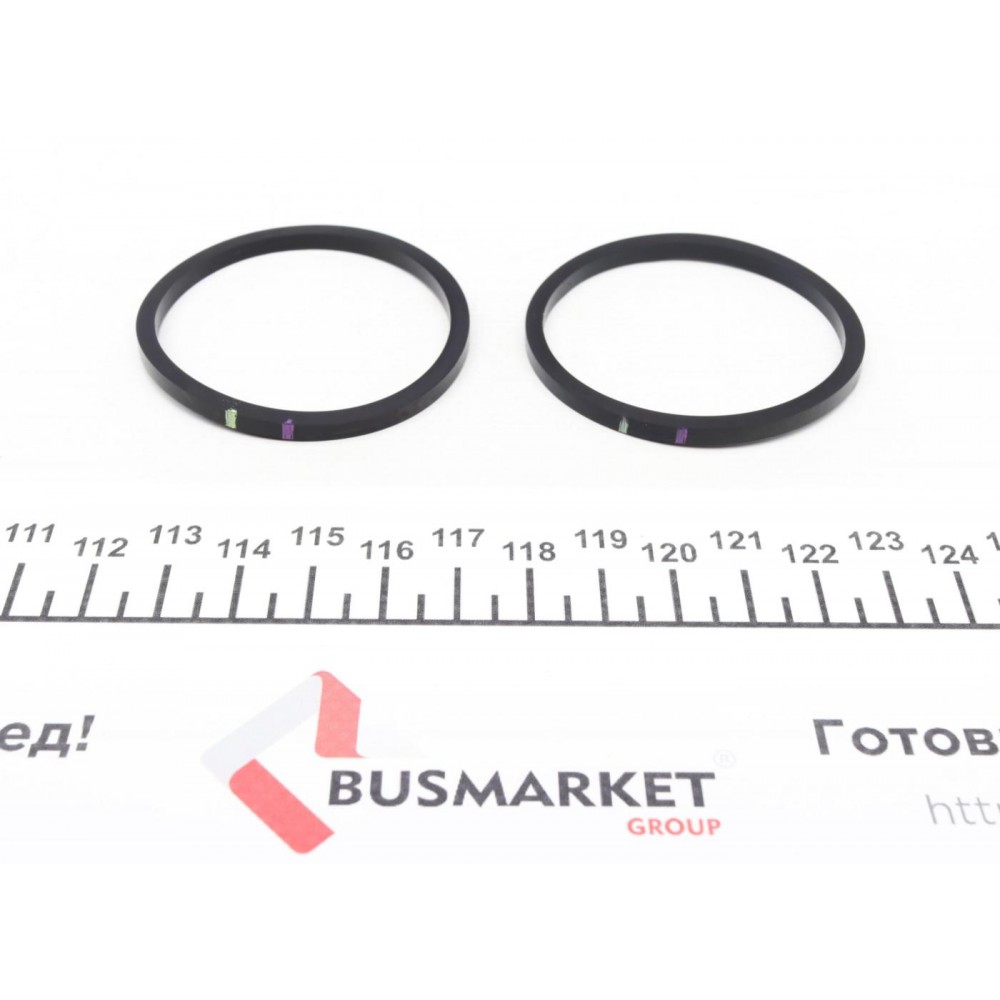 Ремкомплект супорта (переднього) Ford Transit 06- (d=48 мм) (+2 поршня) (Bosch)