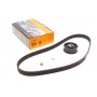 Комплект ГРМ VW Golf II/Passat 1.8/2.0 16V 86-93/Audi 100/80/A6 2.0E 90-97 (25x147z)