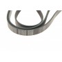 Ремінь генератора MB Vito OM601/602 (AC)/ M111 (PS) (6PK2020)