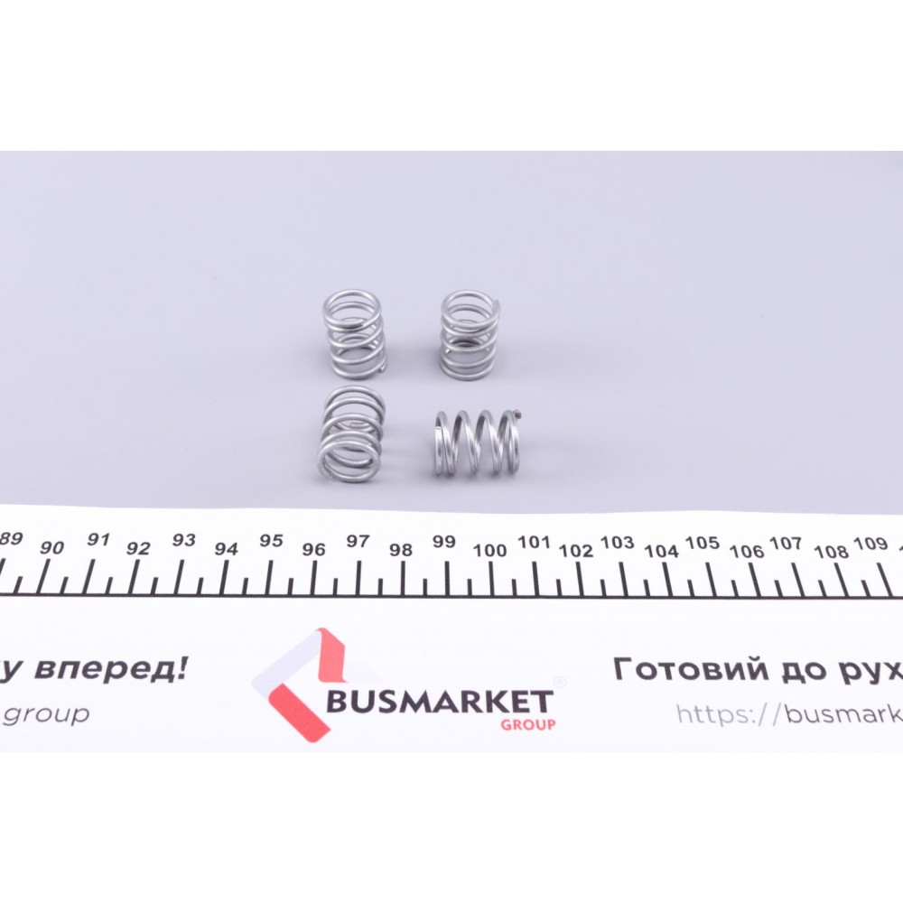 Комплект пружинок колодок ручника Nissan X-Trail 2.0-2.5 01-13 (Akebono)