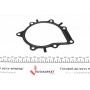 Комплект ГРМ + помпа Citroen C5/C6/C8/Fiat/Ford/Peugeot 2.2HDI 06-