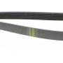 Ремінь генератора Mitsubishi Sigma 3.0 V6 90-96