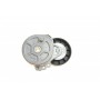 Натяжник ременя генератора Fiat Scudo/Peugeot Boxer/Partner 2.0-2.2HDI 99-