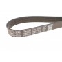 Ремінь генератора Citroen Jumper/Peugeot Boxer 2.0 94-/VW Caddy 1.4 04- (6PK1100)