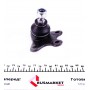 Опора кульова (передня/знизу/L) Skoda Fabia/VW Polo 1.2/1.9TDI 99-10 (к-кт)