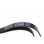 Ремінь генератора Suzuki Grand Vitara 2.5-2.7 98-03/ Honda Accord/Prelude 2.2-2.3 96-03