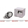 Натяжник ременя генератора Renault Kangoo 1.4/1.6i 97- (+AC)