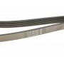 Ремінь генератора MB Sprinter 2.9TDI (-AC)/MB Vito (W638) 96-