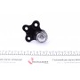 Опора кульова (передня/знизу) Opel Astra F 91-99/Vectra A 88-95