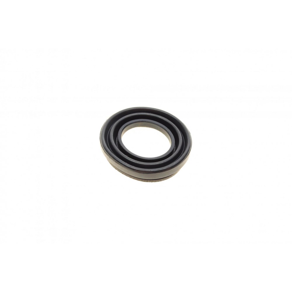 Ремкомплект супорта (заднього) Renault Megane/Scenic 08- (d=34mm) (TRW) (+поршень/направляюча)