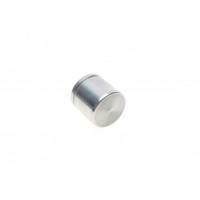 Поршень супорта (переднього) Opel Vectra C/Zafira 02-10 (57x56mm)