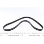 Ремінь генератора Fiat Doblo 1.3D Multijet/1.3JTD/Ford Focus 1.8/2.0 04-