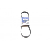Ремінь генератора Ford Focus 1.4/1.6 Ti 03- (5PK868)