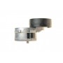 Натяжник ременя генератора Fiat Scudo/Peugeot Boxer/Partner 2.0-2.2HDI 99-