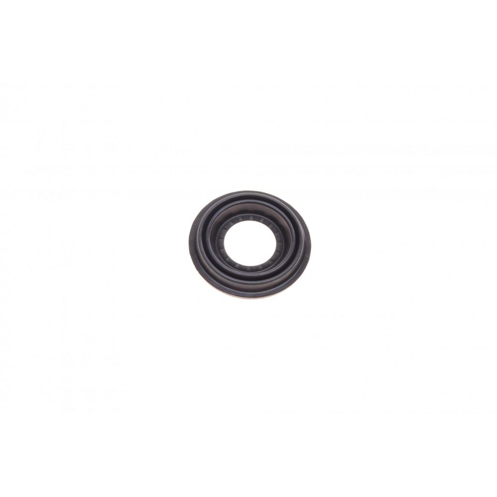 Ремкомплект супорта (заднього) Fiat Stilo 03-08 (d=38mm) (Bosch) (+поршень)