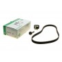 Комплект ГРМ Ford Mondeo/C-Max/Focus 1.5/1.6 EcoBoost 10-