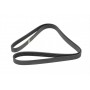 Ремінь генератора Land Rover/Toyota Land Cruiser 120 4.0i/4.6 94-