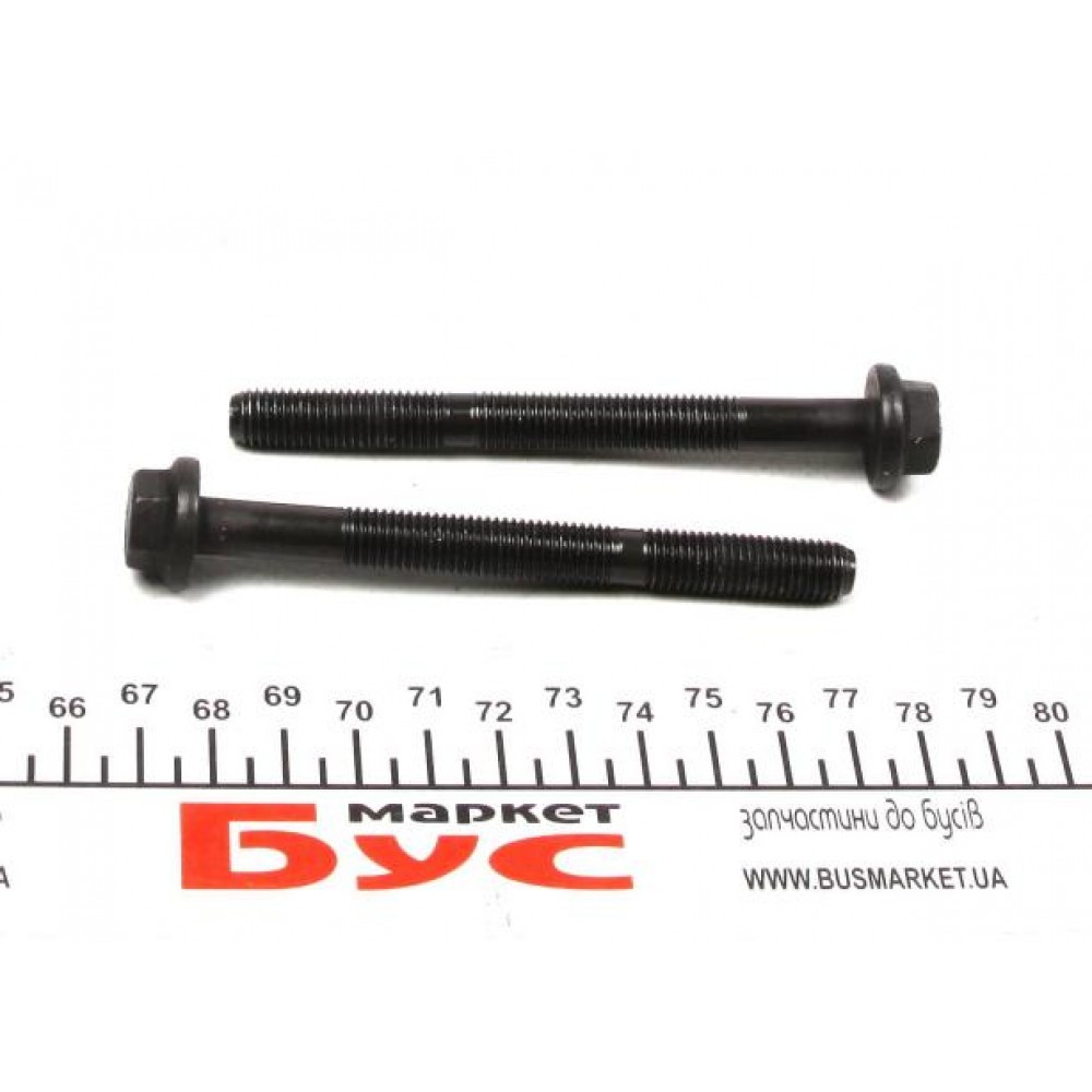 Болти головки (к-кт 10шт.) Fiat Doblo/Ford 0.7-1.4 82-