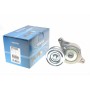 Натяжник ременя генератора Mazda 2/3 1.4/1.6 03-