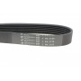 Ремінь генератора Land Rover/Toyota Land Cruiser 120 4.0i/4.6 94-